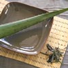 Soins � l'Aloe Vera bio