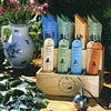 Encens - Plantes � Bruler