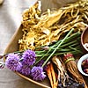 Phytoth�rapie, M�decine douce