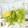 Infusions glac�es bio