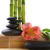 SPA: Huiles de bain et de massage bio
