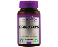 Champignons biologiques CORDYCEPS - Diet Horizon