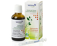Extrait de plantes fra�ches Hamam�lis bio