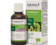 Alch�mille bio