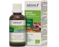 Griffe du diable bio - Harpagophytum