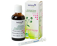 Extrait de plantes fra�ches Pens�e sauvage bio