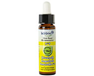 Fleur de bach Ch�vrefeuille n� 9 (Honeysuckle n�16)