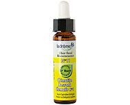 Fleur de bach Cl�matite n�11 (Clematis n�9)
