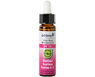 Fleur de bach Gentiane n� 16 (Gentian n�12)
