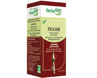 Mac�rat m�re bourgeons Figuier bio - Herbalgem