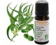 Huile essentielle bio Eucalyptus globulus - Florame