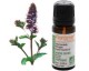 Huile essentielle bio Menthe poivrée - Florame