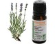 Huile essentielle bio Lavande Aspic - Florame