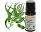 Huile essentielle bio Eucalyptus radiata - Florame