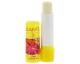 Baume à lèvres solaire Incolore - Santé