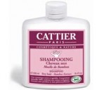 Shampooing à la Moelle de Bambou, Cheveux secs - Cattier