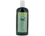 Shampooing Aloe et Olive Daily Care - Logona