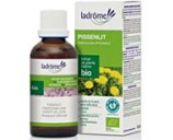 Pissenlit bio