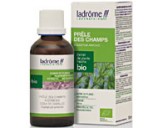 Prêle des champs bio