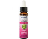 Fleur de bach Ajonc n� 2  (Gorse n�13)