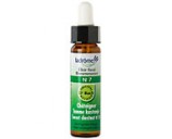 Fleur de bach Ch�taignier n� 7 (Sweet Chestnut n�30)