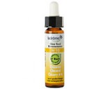 Fleur de bach Chicor�e n� 10 (Chicory n�8)