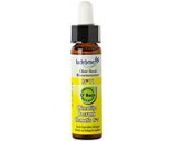 Fleur de bach Cl�matite n�11 (Clematis n�9)