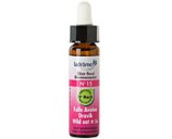 Fleur de bach Folle avoine n� 15 (Wild oat n�36)