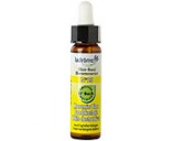 Fleur de bach Maronnier blanc n� 23 (White chestnut n�35)
