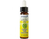 Fleur de bach Moutarde n� 27 (Mustard n�21)
