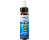 Fleur de bach Prunus n�34 (Cherry plum n�6)