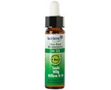 Fleur de bach Saule n° 35 (Willow n°38)