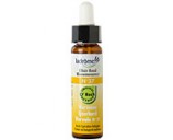 Fleur de bach Verveine n� 37 (Vervain n�31)
