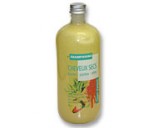 Shampooing CHEVEUX SECS 500 ml - Gravier