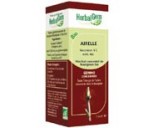 Macérat mère bourgeons Airelle bio - Herbalgem