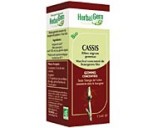 Macérat mère bourgeons Cassis bio - Herbalgem