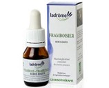 Macérat mère bourgeons de Framboisier bio - Ladrôme
