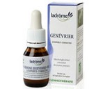 Macérat mère bourgeons de Genévrier bio - Ladrôme