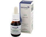 Macérat mère bourgeons de Gui bio - Ladrôme