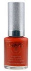 Vernis � ongles n� 16 Shiny Copper - Sant�