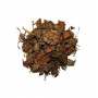 Trèfle rouge fleur 100g - Herboristerie de Paris trifolium partense ménopause Aromatic provence