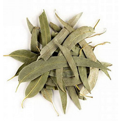 Eucalyptus feuilles longues entières bio 100g - Herboristerie de Paris