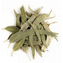 Eucalyptus feuilles longues entières bio 100g - Herboristerie de Paris eucalyptus globulus Aromatic provence