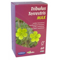 Tribulus terrestris 650 Bien être masculin 60 gélules - Orthonat Nutrition vigueur masculine Aromatic Provence