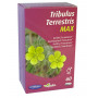 Bien être masculin Tribulus terrestris max 60 gélules - Orthonat Nutrition