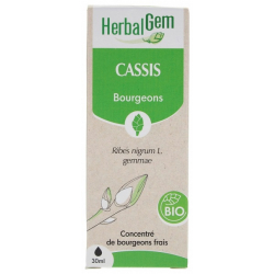 Macérat mère bourgeons Cassis bio 30ml - Herbalgem