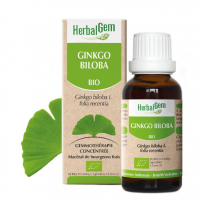 Ginkgo Biloba bio 50ml Herbalgem macérat mère de bourgeons bio de ginkgo mémoire Aromatic provence