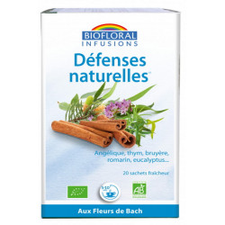 Infusion Défenses naturelles Hiver 20 sachets 24g - Biofloral