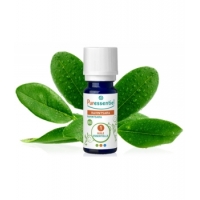 Ravintsara BIO 10ml - Puressentiel Aromatic provence