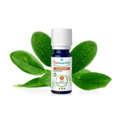 Ravintsara BIO 10ml - Puressentiel